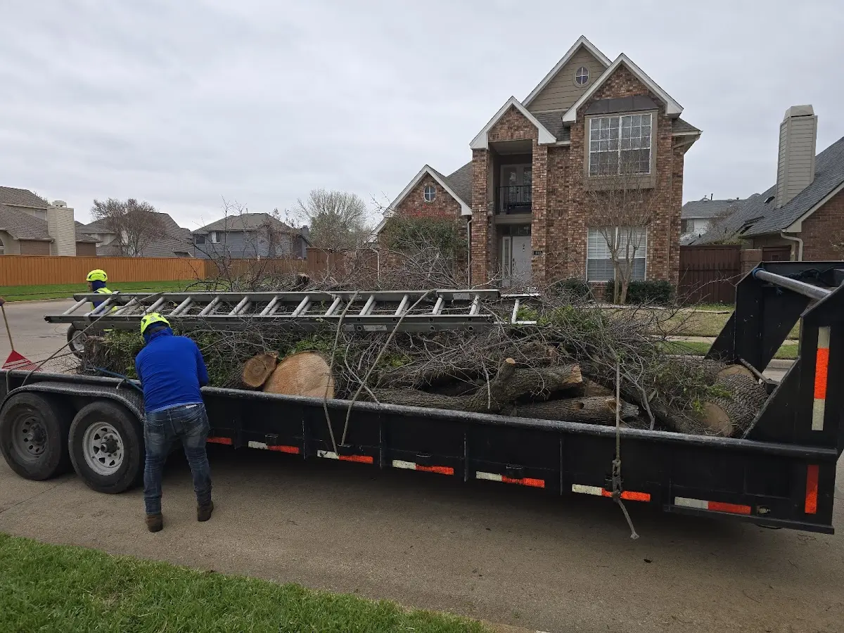 Expert Lot Clearing with proper safety equipment in Memphis
